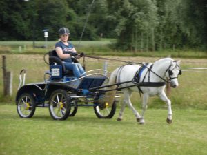 Anneloes Kleinbussink