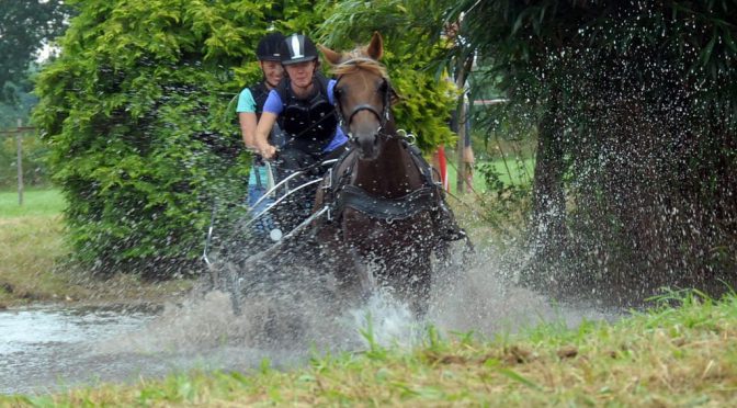 Foto’s en uitslagen van Horse Driving Bussloo 2016