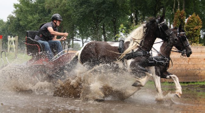 Menles van Bram Chardon groot succes