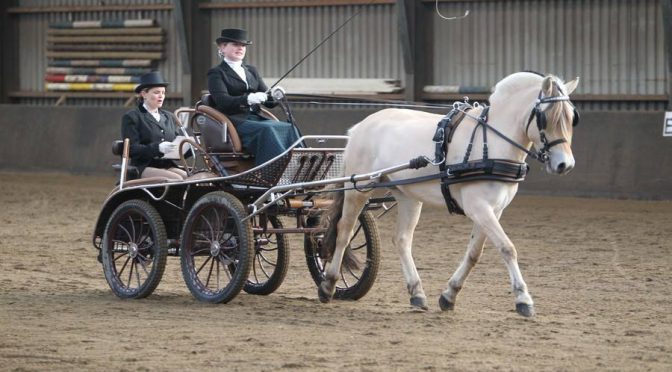 Indoor dresuur wedstrijd op 16 december