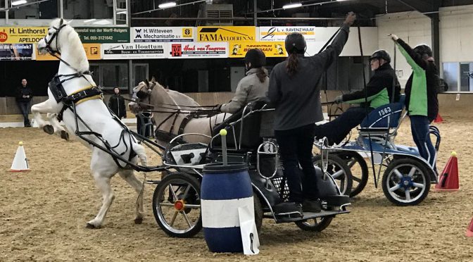 Geslaagde clubdag