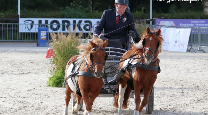 Goede resultaten op Hippiade Mennen 2018