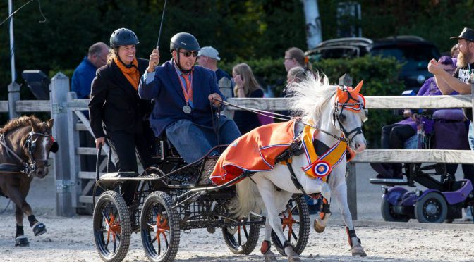 Zeven keer kampioen