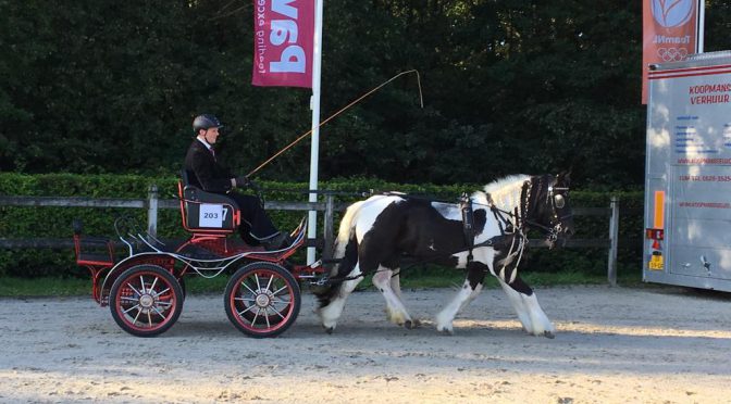 Tweevoudig Hippiade kampioen